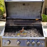 AFTER BBQ Renew Cleaning & Repair in San Clemente 3-13-2019