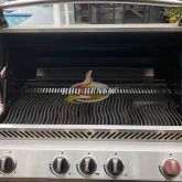 AFTER BBQ Renew Cleaning & Repair in Anaheim 3-7-2018