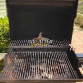 BEFORE BBQ Renew Cleaning & Repair in San Juan Capistrano 5-7-2018