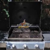 BEFORE BBQ Renew Cleaning & Repair in Laguna Niguel 5-17-2018