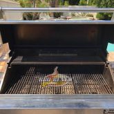 BEFORE BBQ Renew Cleaning & Repair in Rancho Santa Margarita 6-7-2018